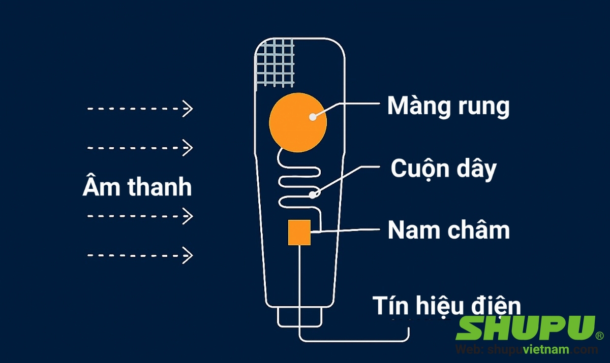 Micro điện động - Dynamic Microphone là gì, ưu và nhược điểm.